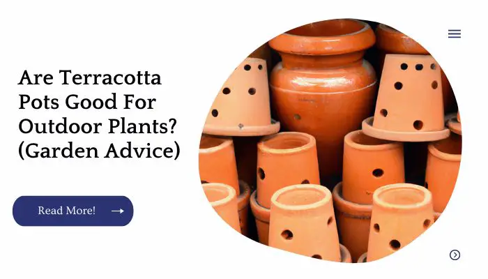 Are Terracotta Pots Good For Outdoor Plants? (Garden Advice)