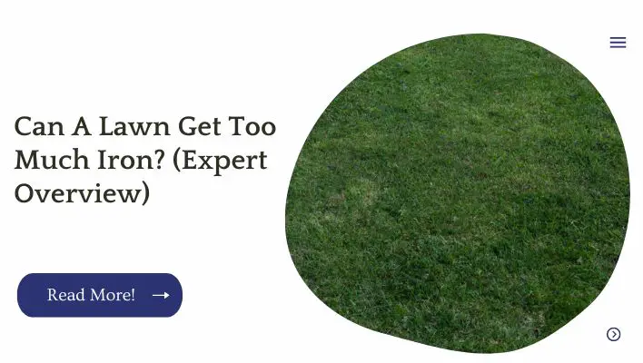 Can A Lawn Get Too Much Iron? (Expert Overview)