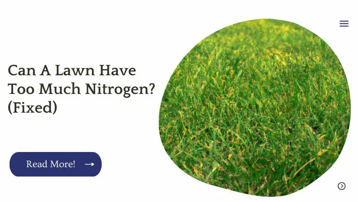 Can A Lawn Have Too Much Nitrogen? (Fixed)