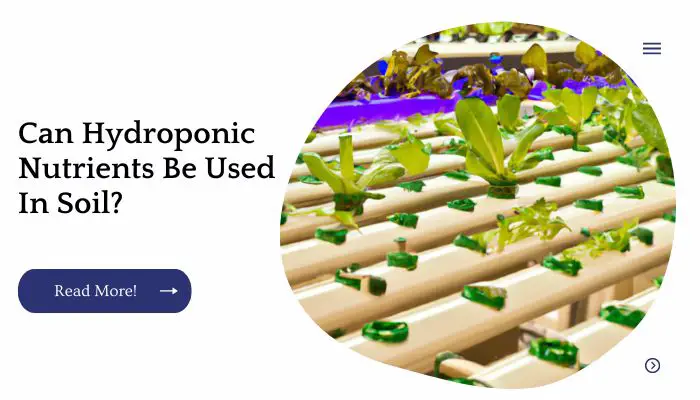 Can Hydroponic Nutrients Be Used In Soil?