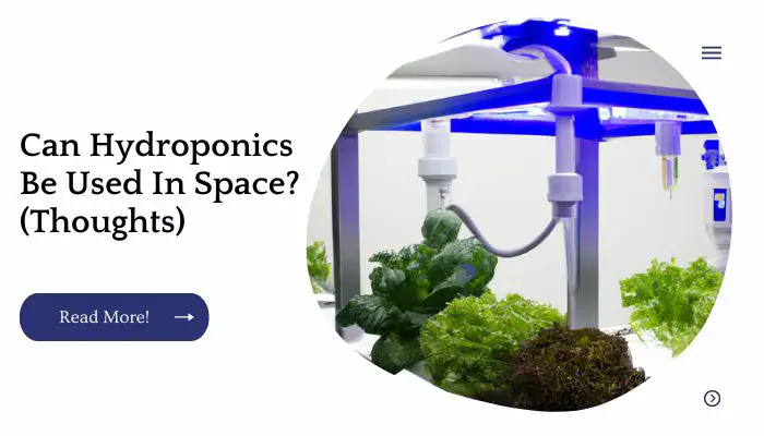 Can Hydroponics Be Used In Space? (Thoughts)