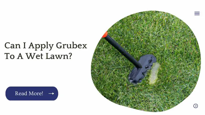 Can I Apply Grubex To A Wet Lawn? 