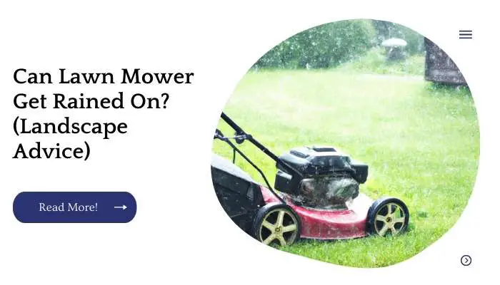 Can Lawn Mower Get Rained On? (Landscape Advice)