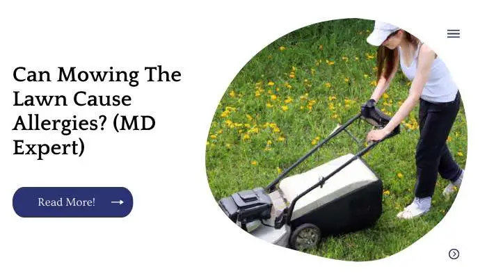 Can Mowing The Lawn Cause Allergies? (MD Expert)