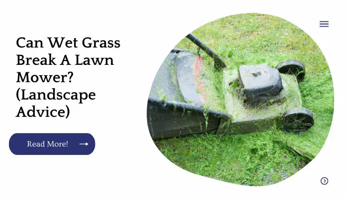 Can Wet Grass Break A Lawn Mower? (Landscape Advice)