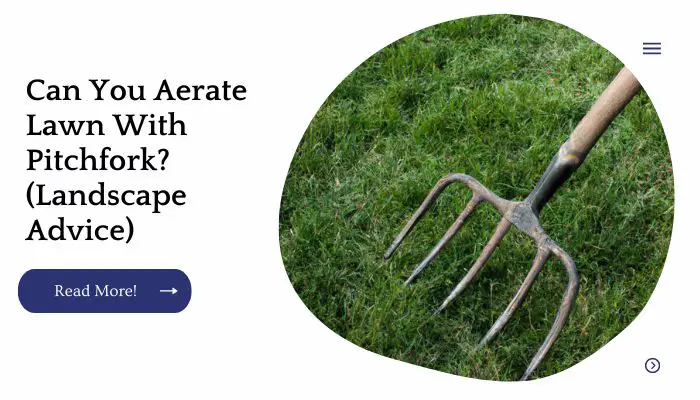 Can You Aerate Lawn With Pitchfork? (Landscape Advice)
