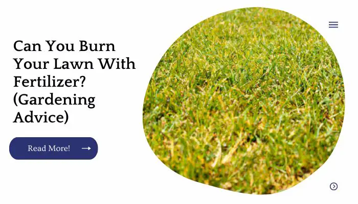 Can You Burn Your Lawn With Fertilizer? (Gardening Advice)