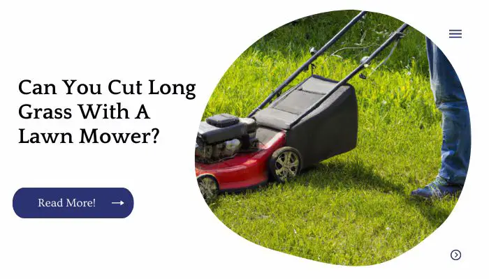Can You Cut Long Grass With A Lawn Mower? 