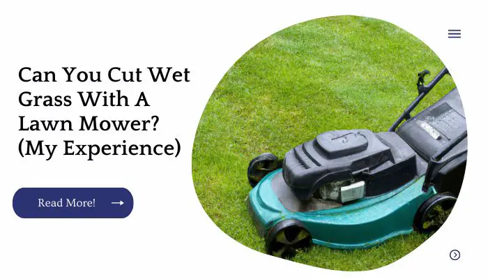 Can You Cut Wet Grass With A Lawn Mower? (My Experience)