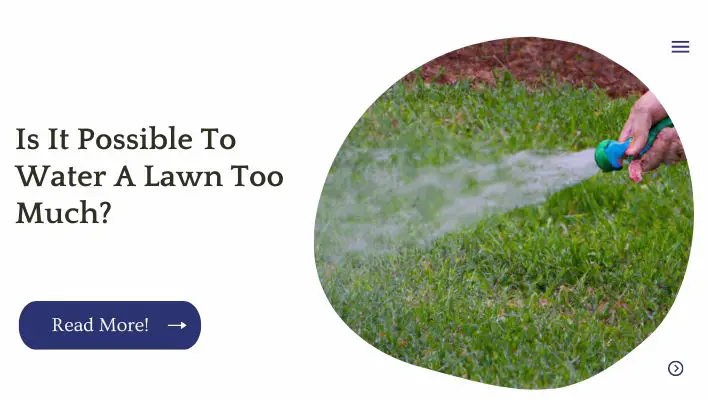 Is It Possible To Water A Lawn Too Much?