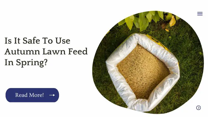 Is It Safe To Use Autumn Lawn Feed In Spring?