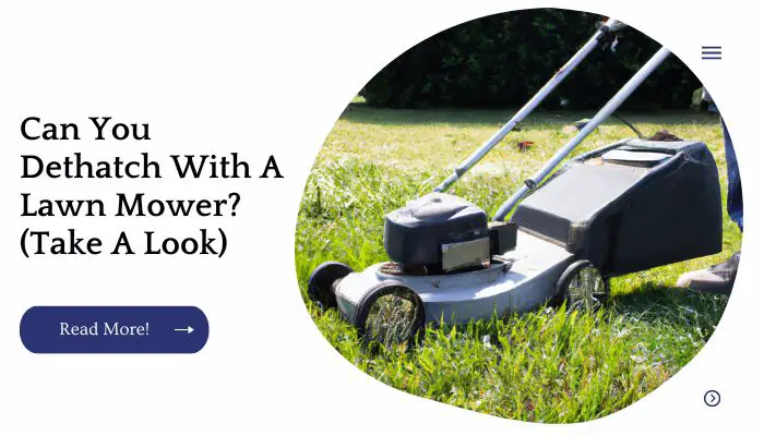 Can You Dethatch With A Lawn Mower? (Take A Lokk)