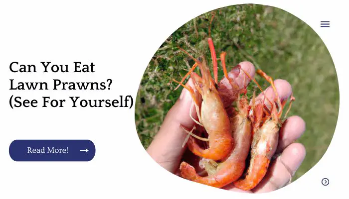 Can You Eat Lawn Prawns?  (See For Yourself)