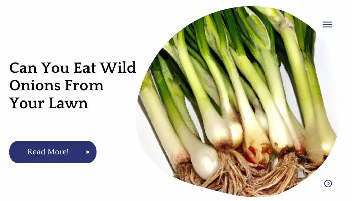 Can You Eat Wild Onions From Your Lawn