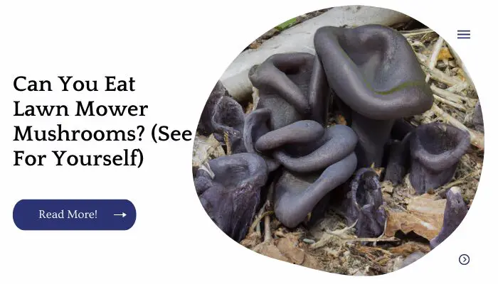 Can You Eat Lawn Mower Mushrooms? (See For Yourself)