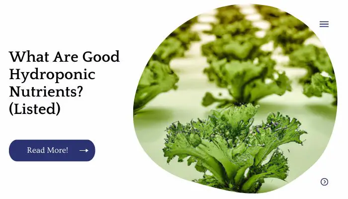 What Are Good Hydroponic Nutrients? (Listed)