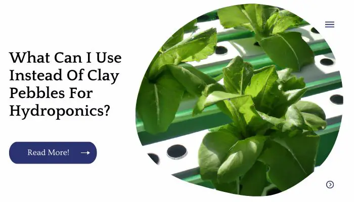 What Can I Use Instead Of Clay Pebbles For Hydroponics?