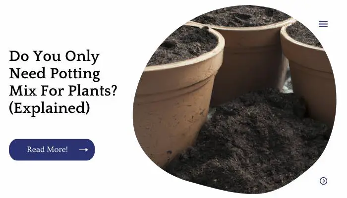 Do You Only Need Potting Mix For Plants? (Explained)