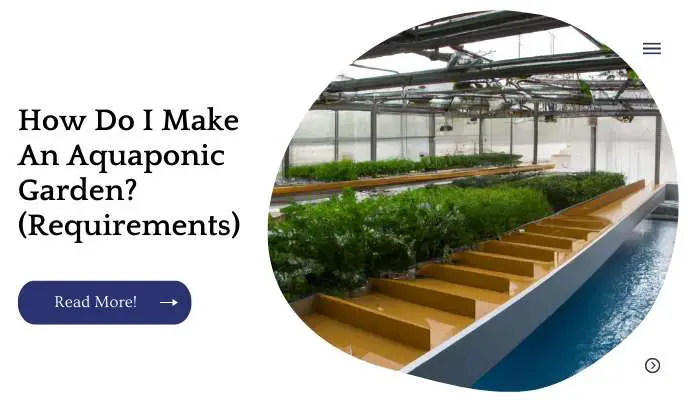 How Do I Make An Aquaponic Garden? (Requirements)
