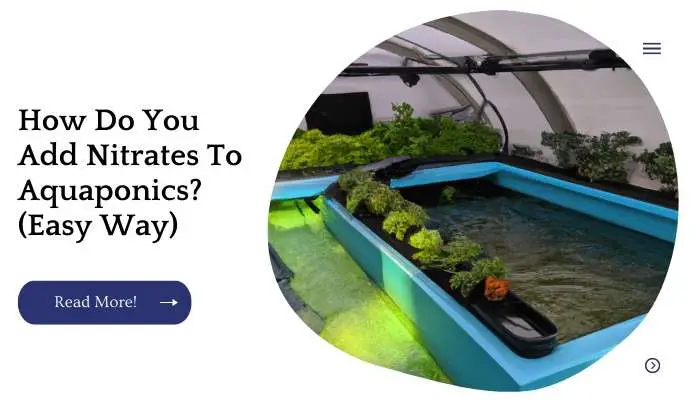 How Do You Add Nitrates To Aquaponics? (Easy Way)