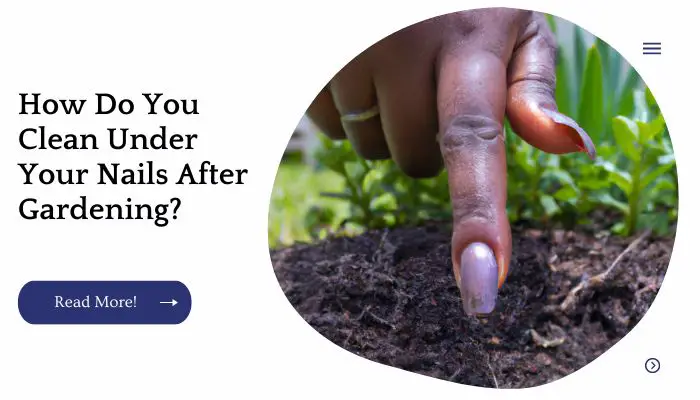 How Do You Clean Under Your Nails After Gardening?