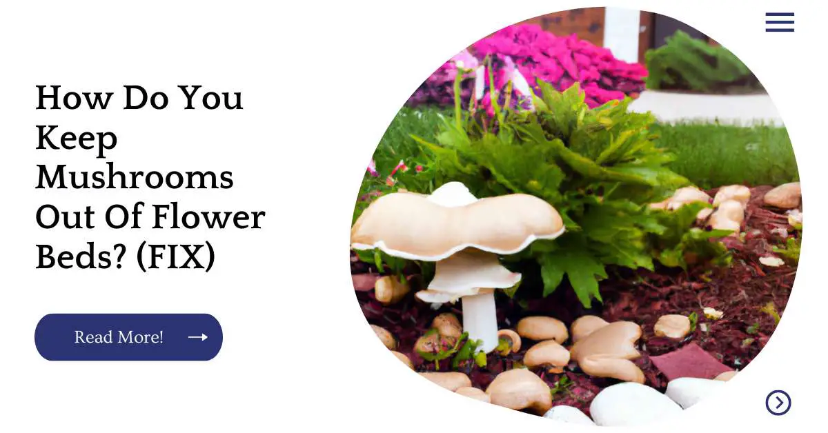 How Do You Keep Mushrooms Out Of Flower Beds? (FIX)
