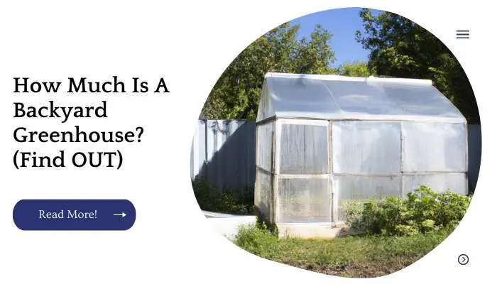How Much Is A Backyard Greenhouse? (Find OUT)