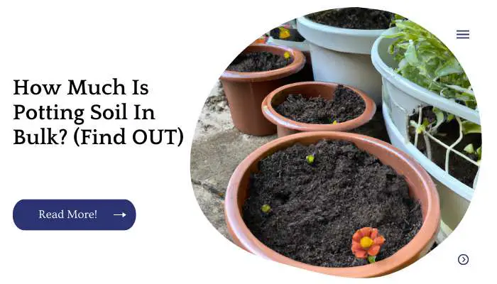 How Much Is Potting Soil In Bulk? (Find OUT)