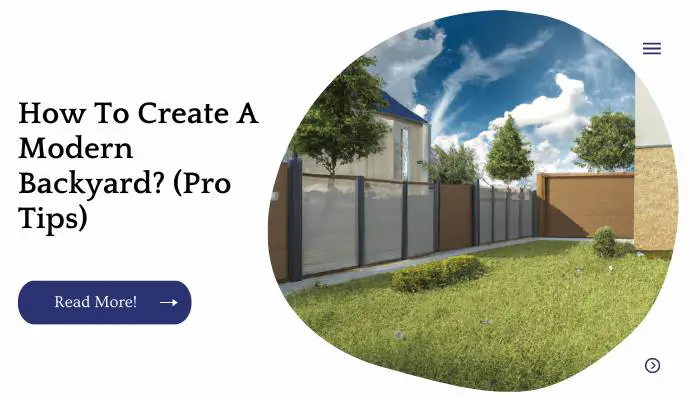 How To Create A Modern Backyard? (Pro Tips)