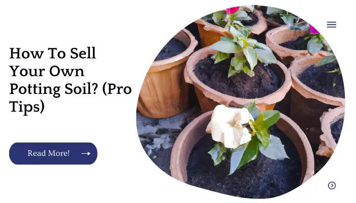 How To Sell Your Own Potting Soil? (Pro Tips)