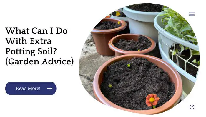 What Can I Do With Extra Potting Soil? (Garden Advice)