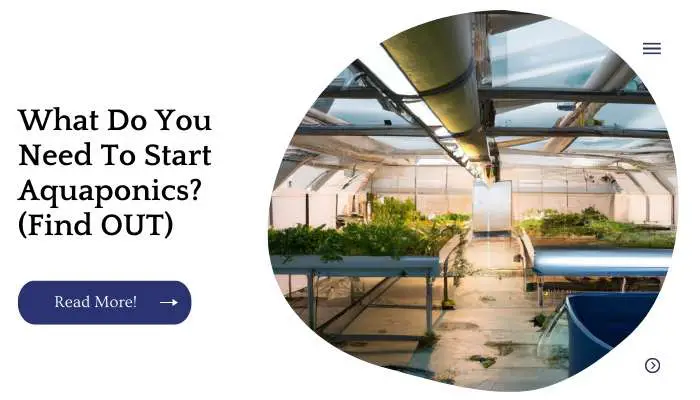 What Do You Need To Start Aquaponics? (Find OUT)