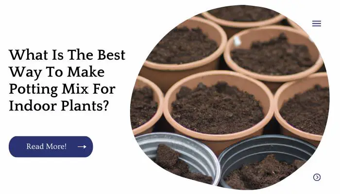 What Is The Best Way To Make Potting Mix For Indoor Plants?