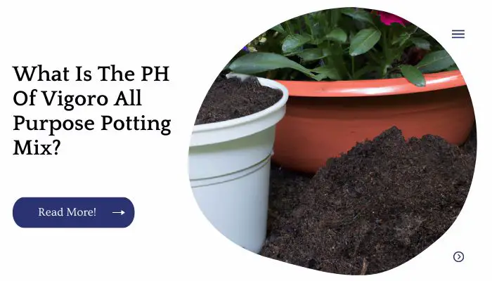 What Is The PH Of Vigoro All Purpose Potting Mix?
