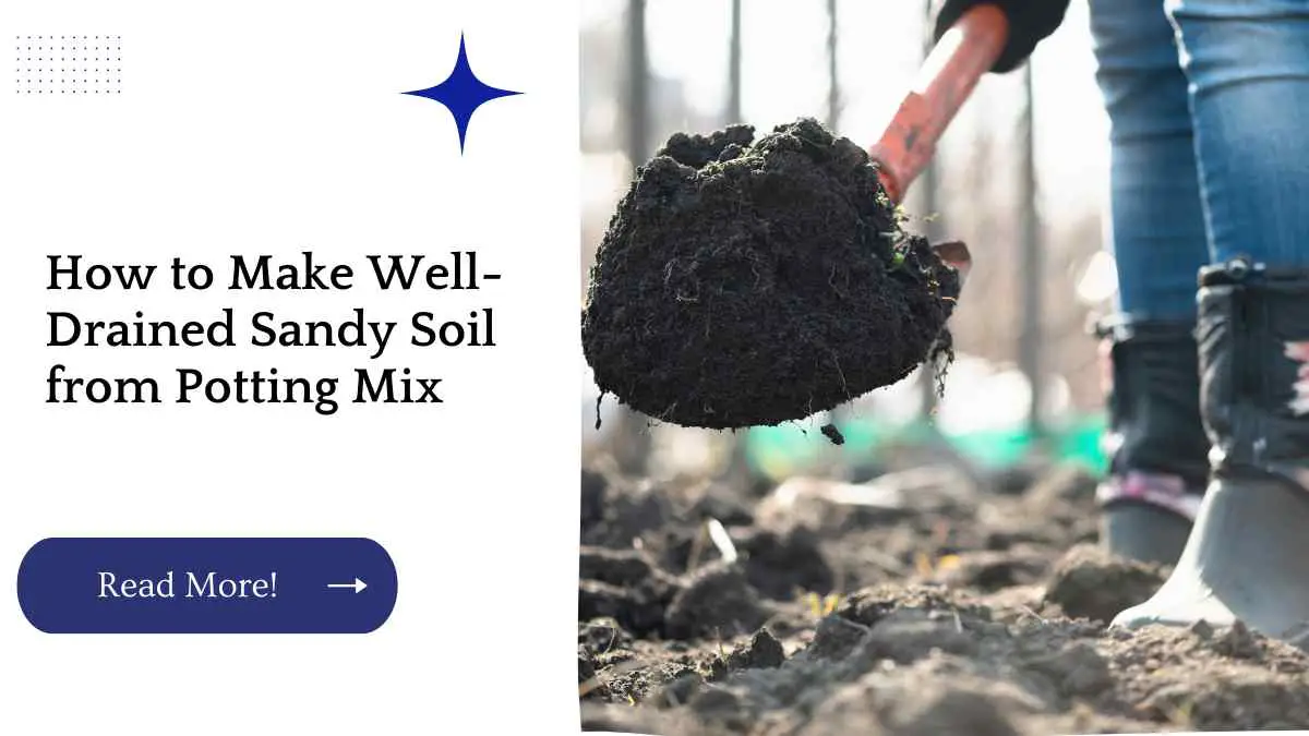 How to Make Well-Drained Sandy Soil from Potting Mix