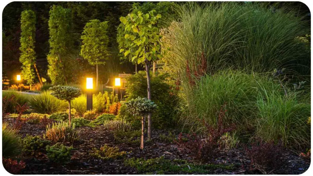 a group of plants in a garden at night
