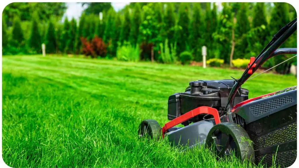 an image of a lawn mower in the grass
