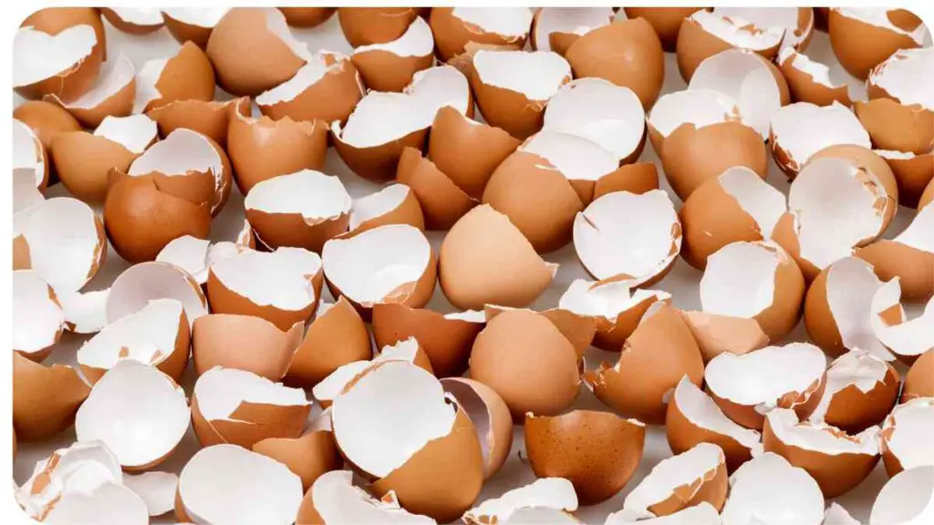 an image of a bunch of broken eggs