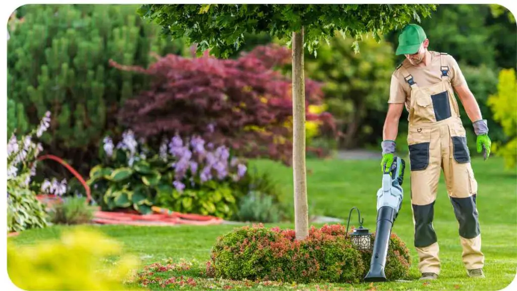 a person is using a leaf blower to cut the grass