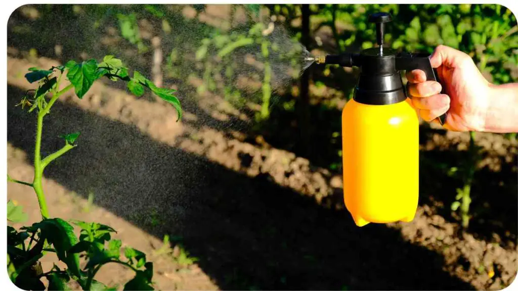 a person is spraying a yellow sprayer on a tomato plant