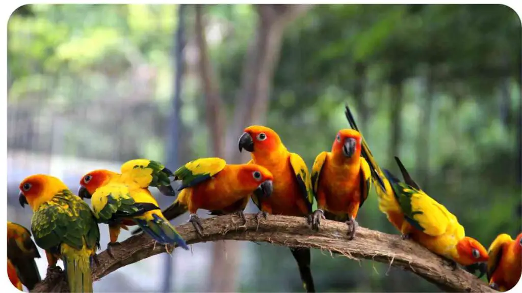 a group of colorful parrots sitting on a branch