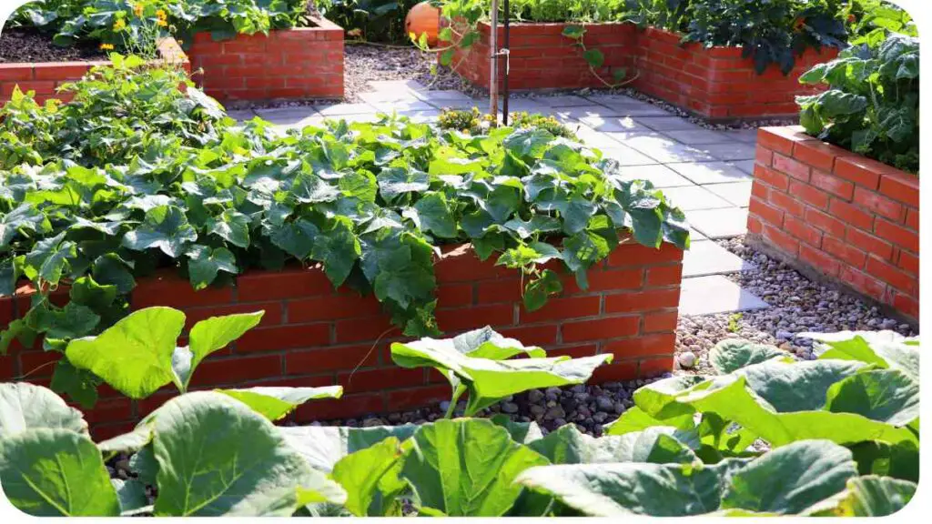 vegetable garden with brick raised beds