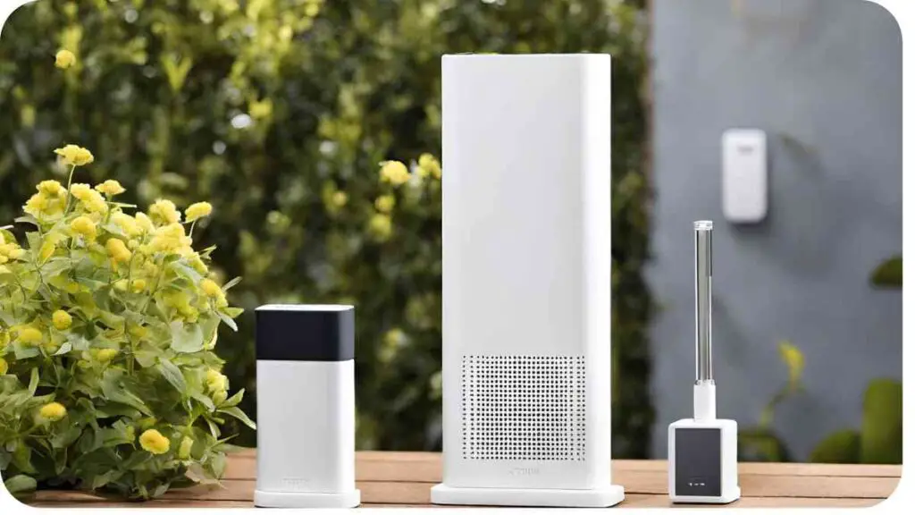 a smart speaker and a plant next to each other
