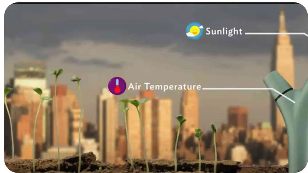 an image of a plant growing in a pot with the words "sunlight" and "air temperature" on it
