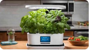 How to Integrate Your AeroGarden with Amazon Echo