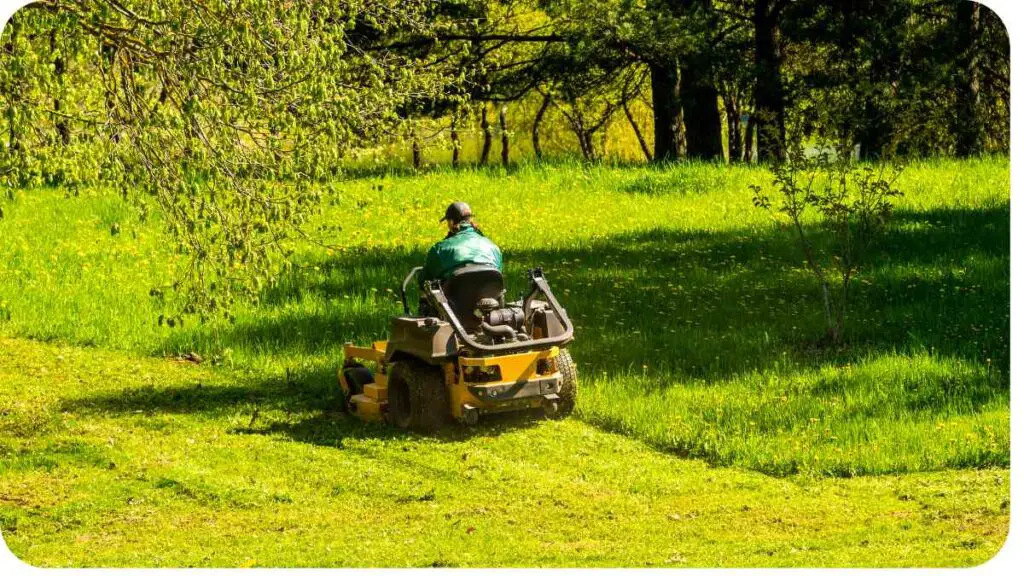 a person on a lawn mower in the middle of a lush green field