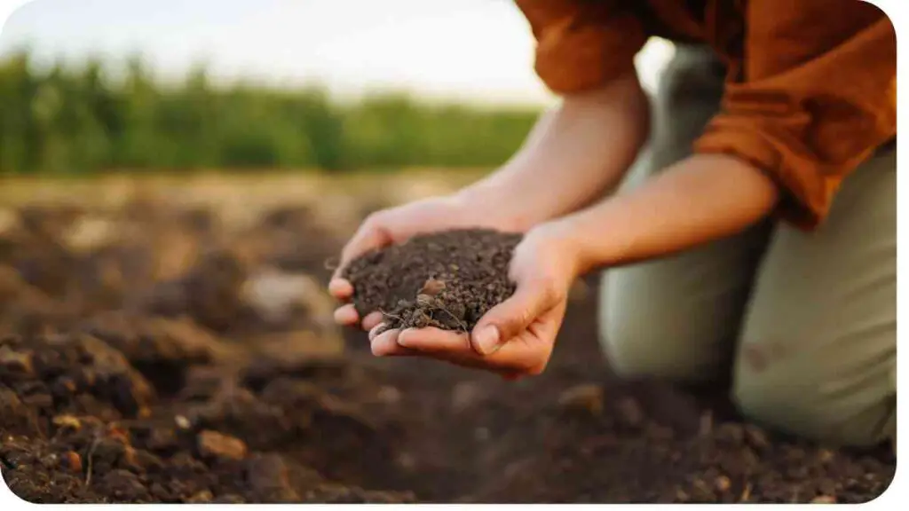 a person is holding soil in their hands