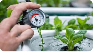 What's a Safe Running Temperature for Your Hydroponic Water Pump?