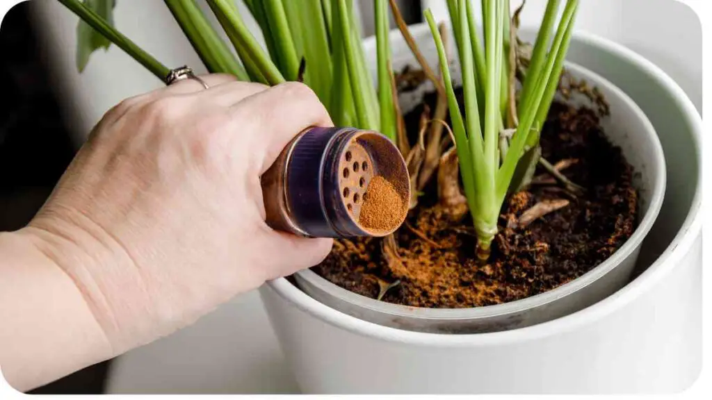 a person is using a coffee grinder to grind coffee into the soil of a potted plant