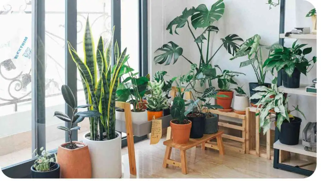 some potted plants in front of a large window
